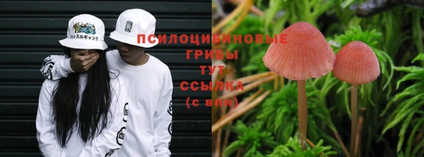 твердый Михайловск