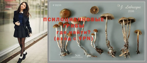 твердый Михайловск