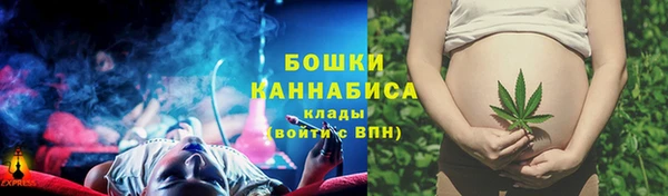 твердый Михайловск