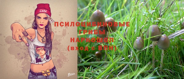 твердый Михайловск