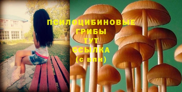 твердый Михайловск