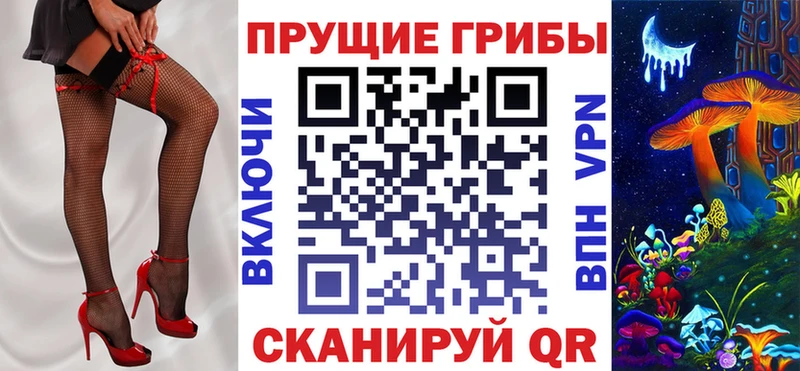 Псилоцибиновые грибы ЛСД  наркошоп  OMG ссылка  Дятьково 