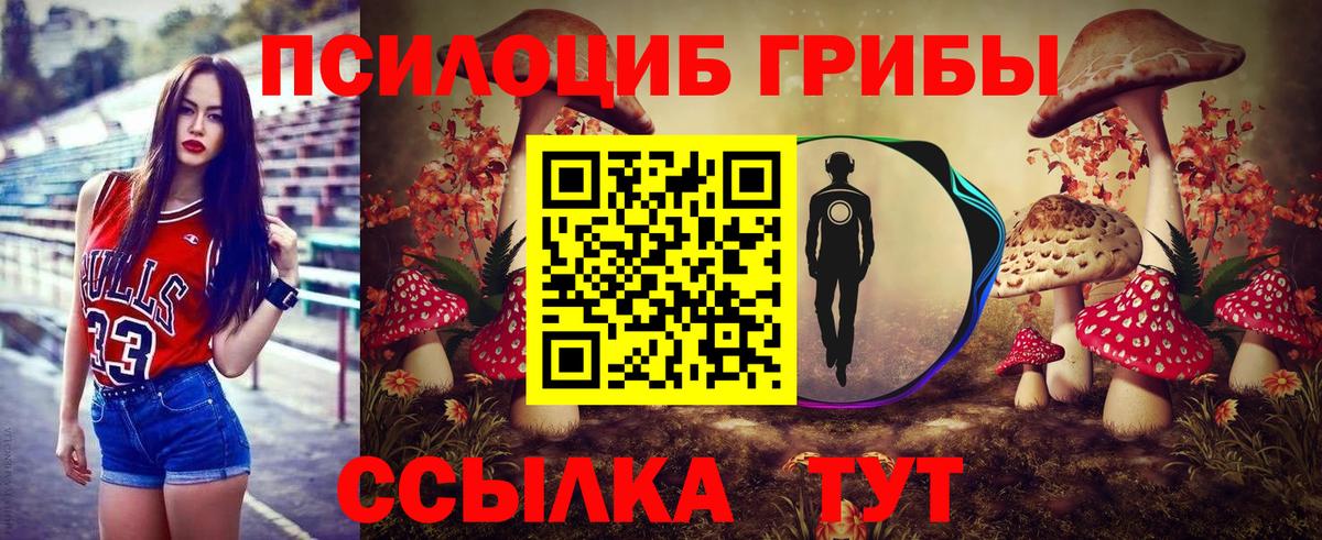 Дятьково  магазин продажи наркотиков  Вход с VPN  Галлюциногенные грибы мухоморы 